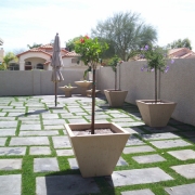 Phoenix Landscaping - After