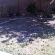 Before Paver Patio Installation