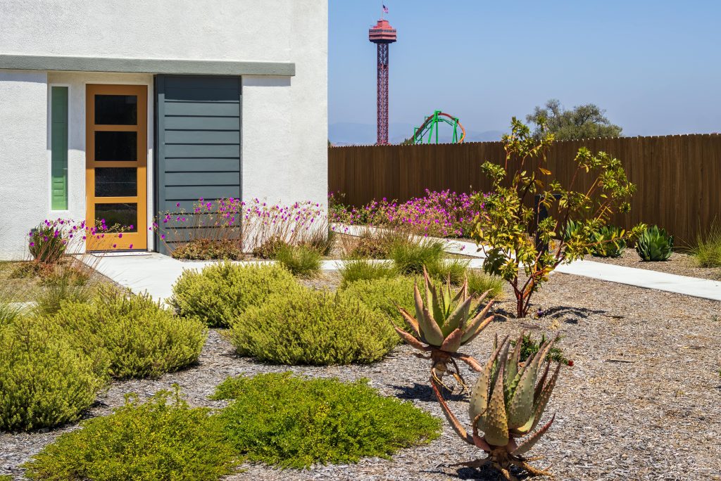 Backyard of a House with Plants 